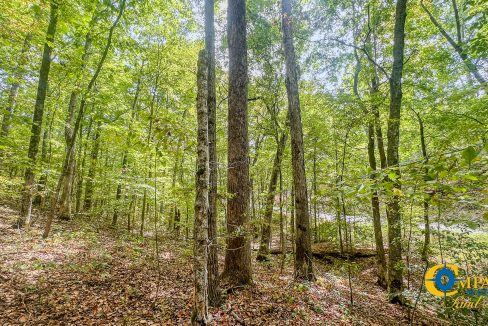 Hurricane Creek Land for Sale in Tennessee-06