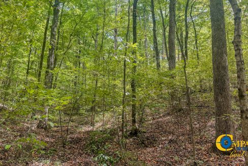 Hurricane Creek Land for Sale in Tennessee-10