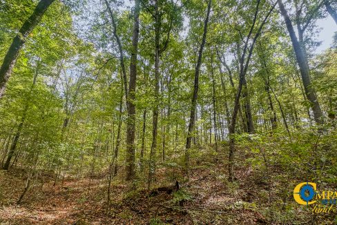 Hurricane Creek Land for Sale in Tennessee-13