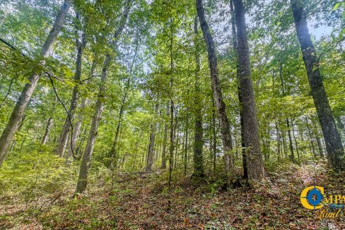 Hurricane Creek Land for Sale in Tennessee-15