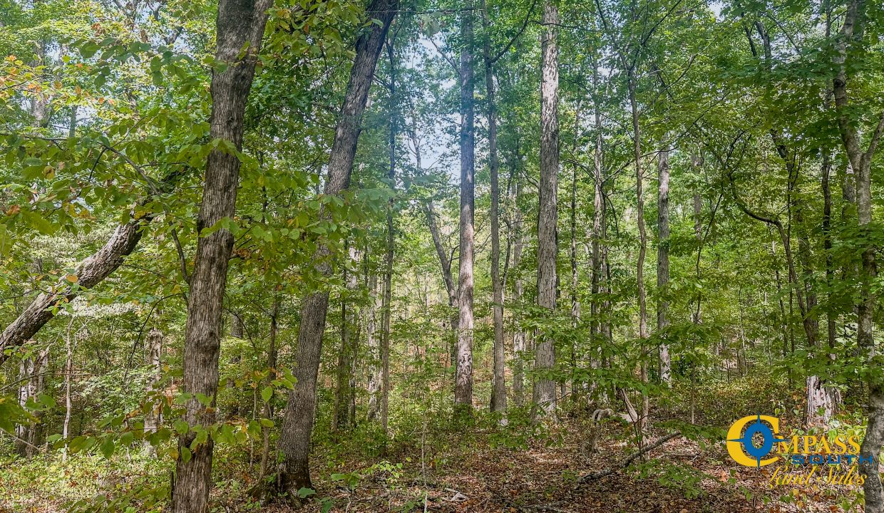 Hurricane Creek Land for Sale in Tennessee-17