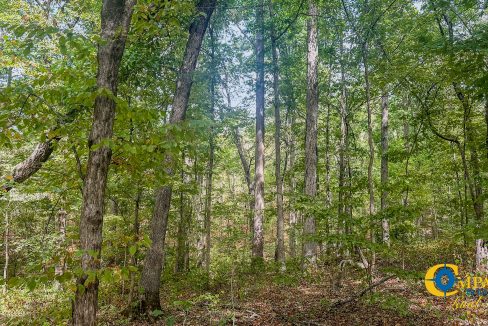 Hurricane Creek Land for Sale in Tennessee-17