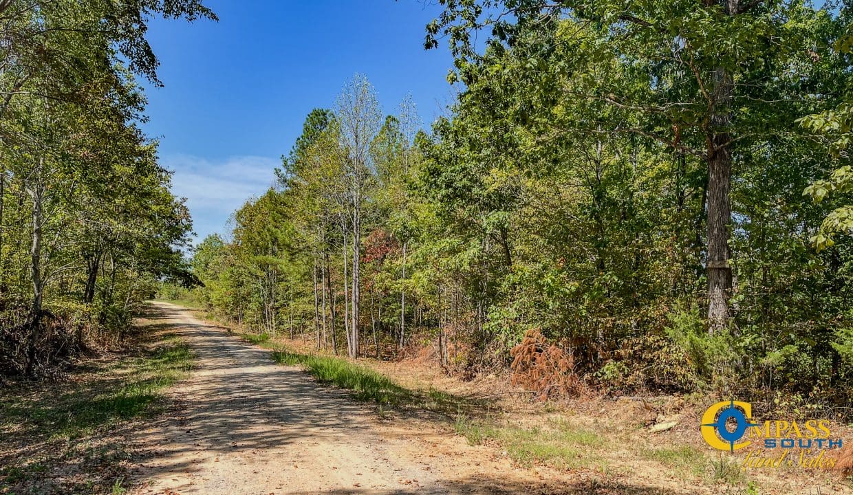 Hurricane Northeast Tract 1 Tennessee-10