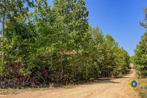 Hurricane Southeast Tract 1 Tennessee-02