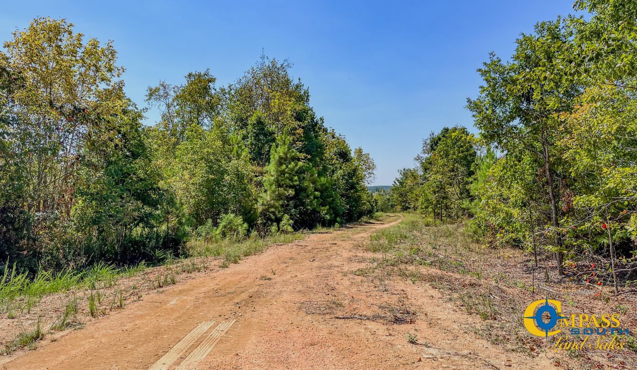 Hurricane Southeast Tract 1 Tennessee-03