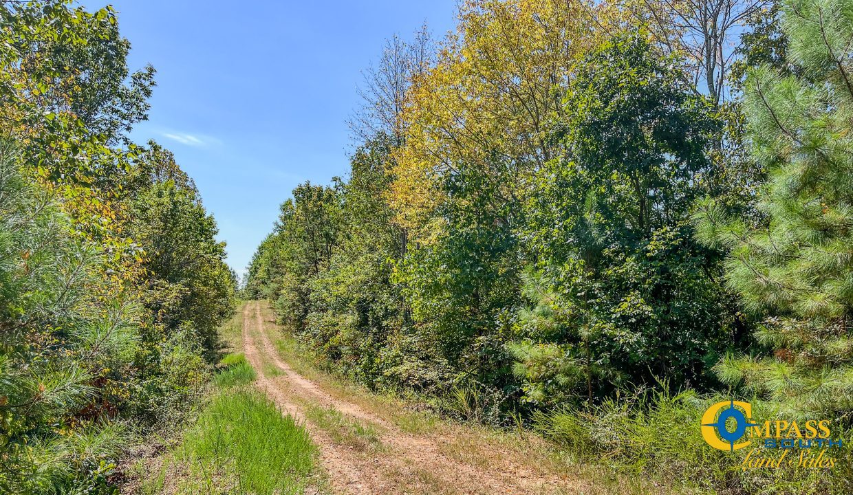 Hurricane Southeast Tract 1 Tennessee-05