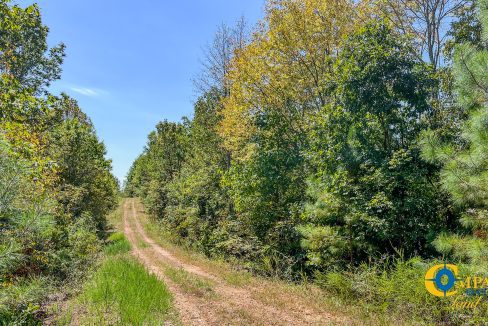 Hurricane Southeast Tract 1 Tennessee-05