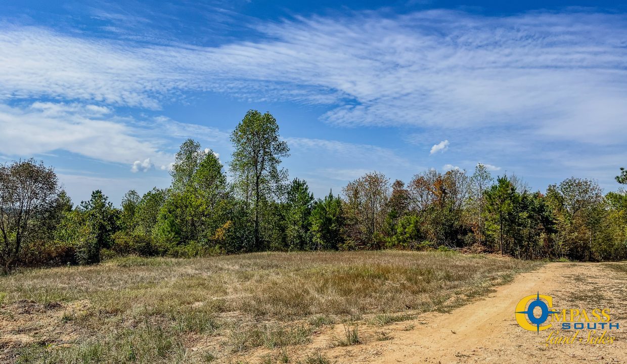 Hurricane Southeast Tract 1 Tennessee-09