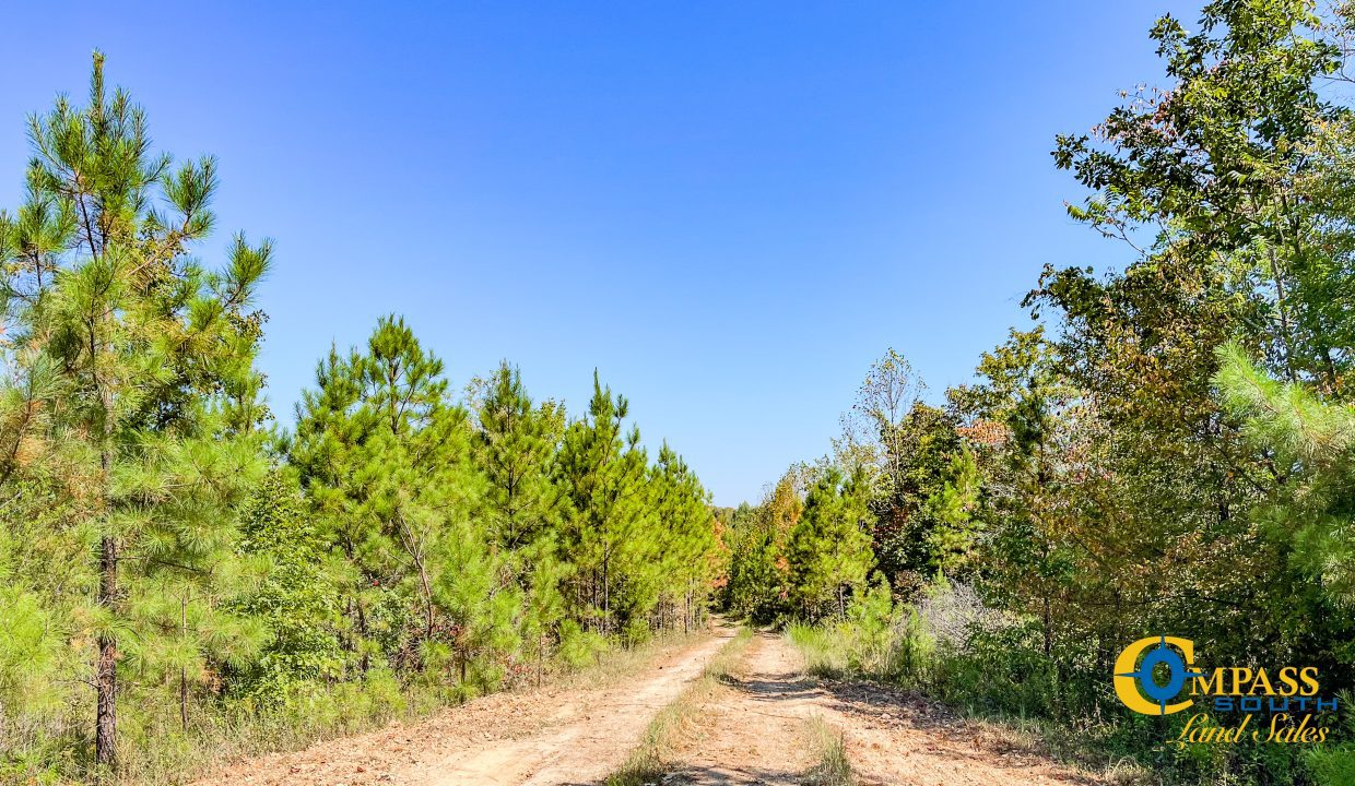 Hurricane Southeast Tract 2 Tennessee-17