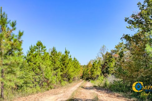 Hurricane Southeast Tract 2 Tennessee-17