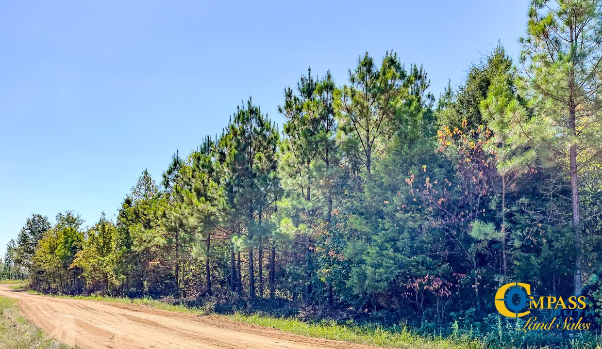 Hurricane Southeast Tract 3 Tennessee-01