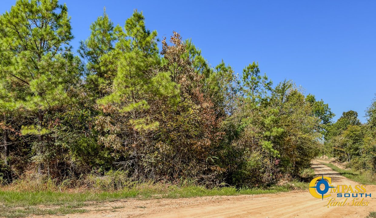 Hurricane Southeast Tract 3 Tennessee-02