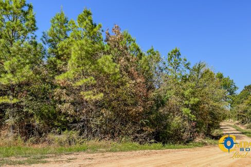 Hurricane Southeast Tract 3 Tennessee-02