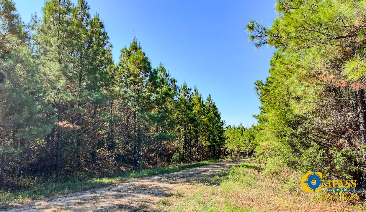 Hurricane Southeast Tract 3 Tennessee-03