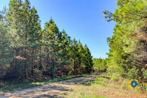 Hurricane Southeast Tract 3 Tennessee-03