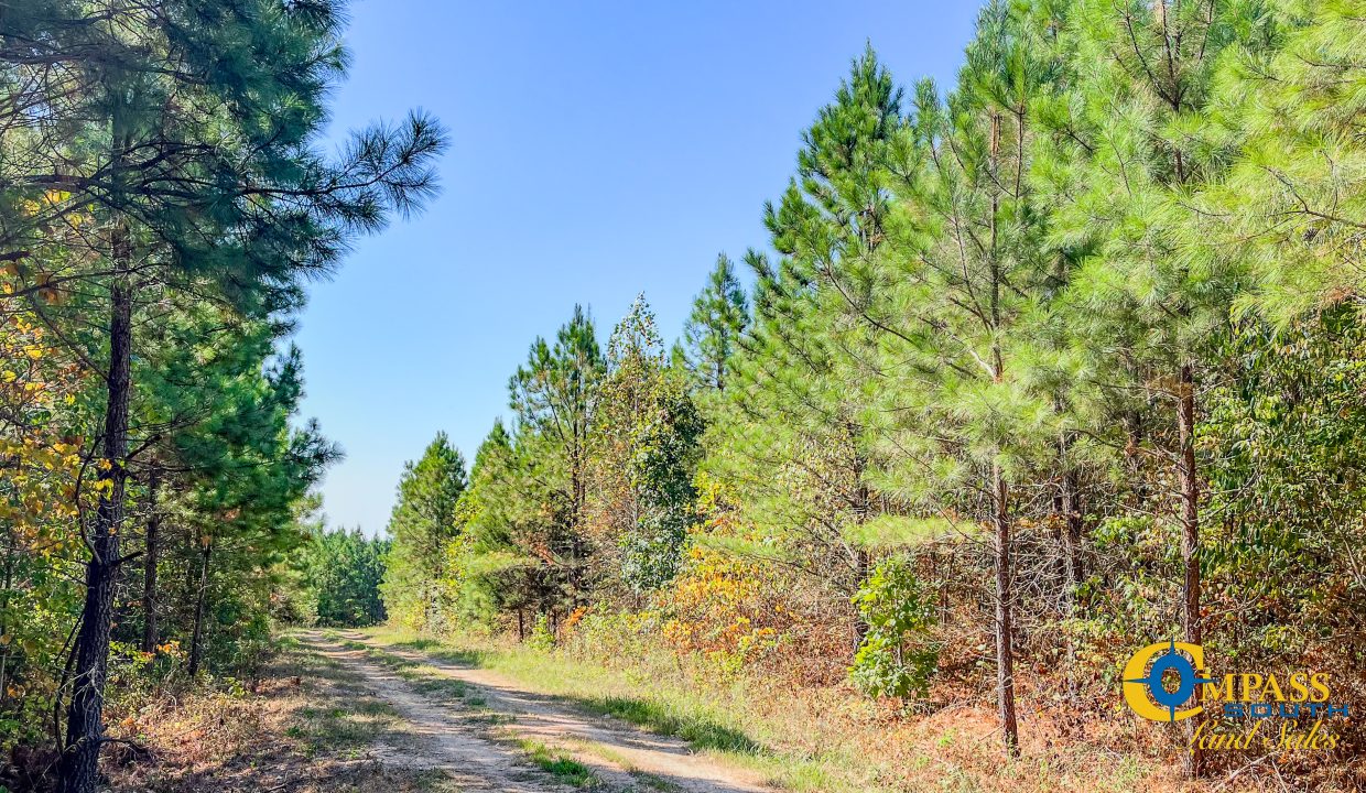 Hurricane Southeast Tract 3 Tennessee-04