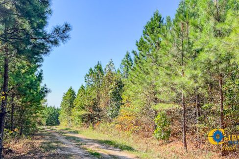 Hurricane Southeast Tract 3 Tennessee-04