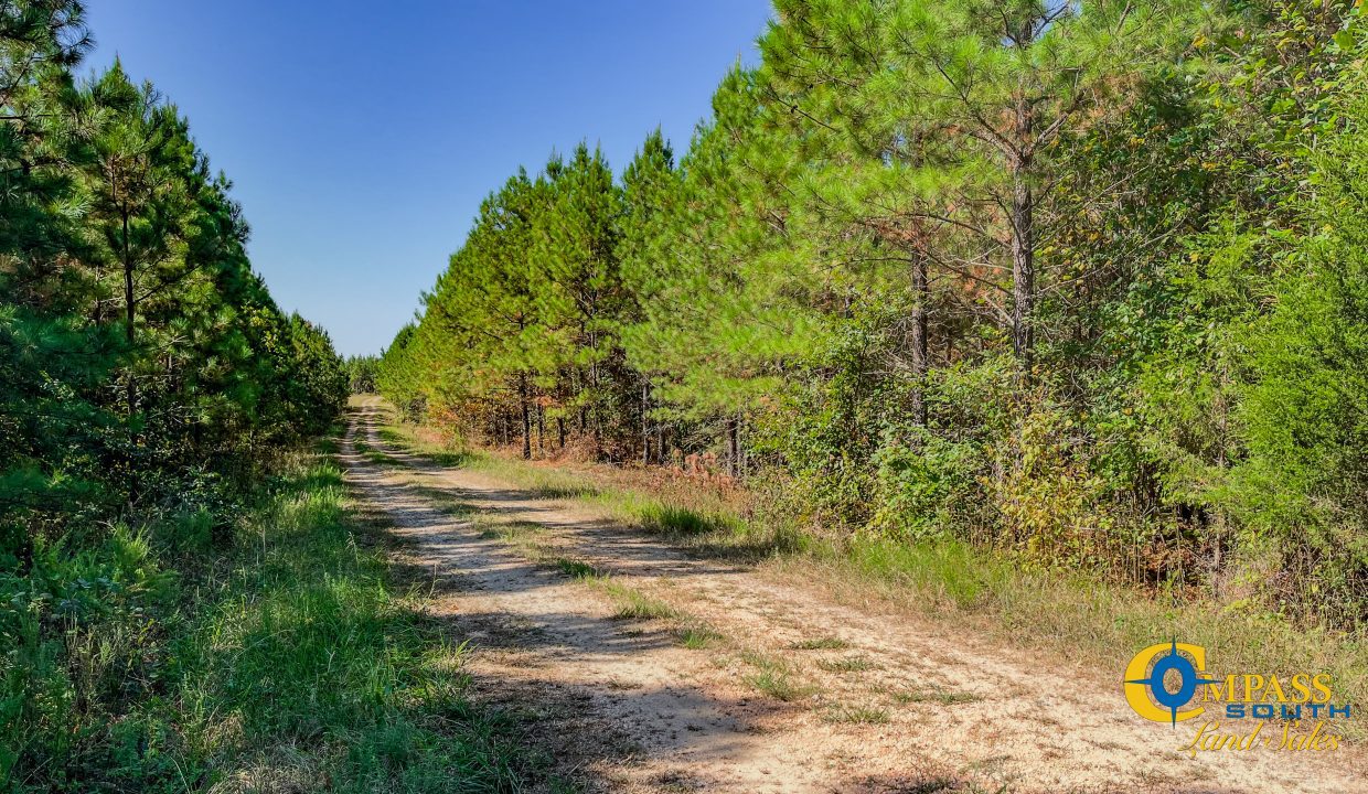 Hurricane Southeast Tract 3 Tennessee-05