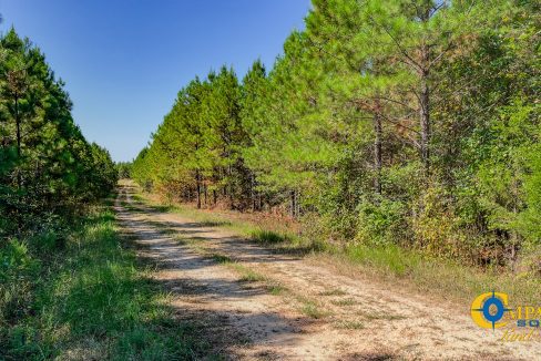 Hurricane Southeast Tract 3 Tennessee-05