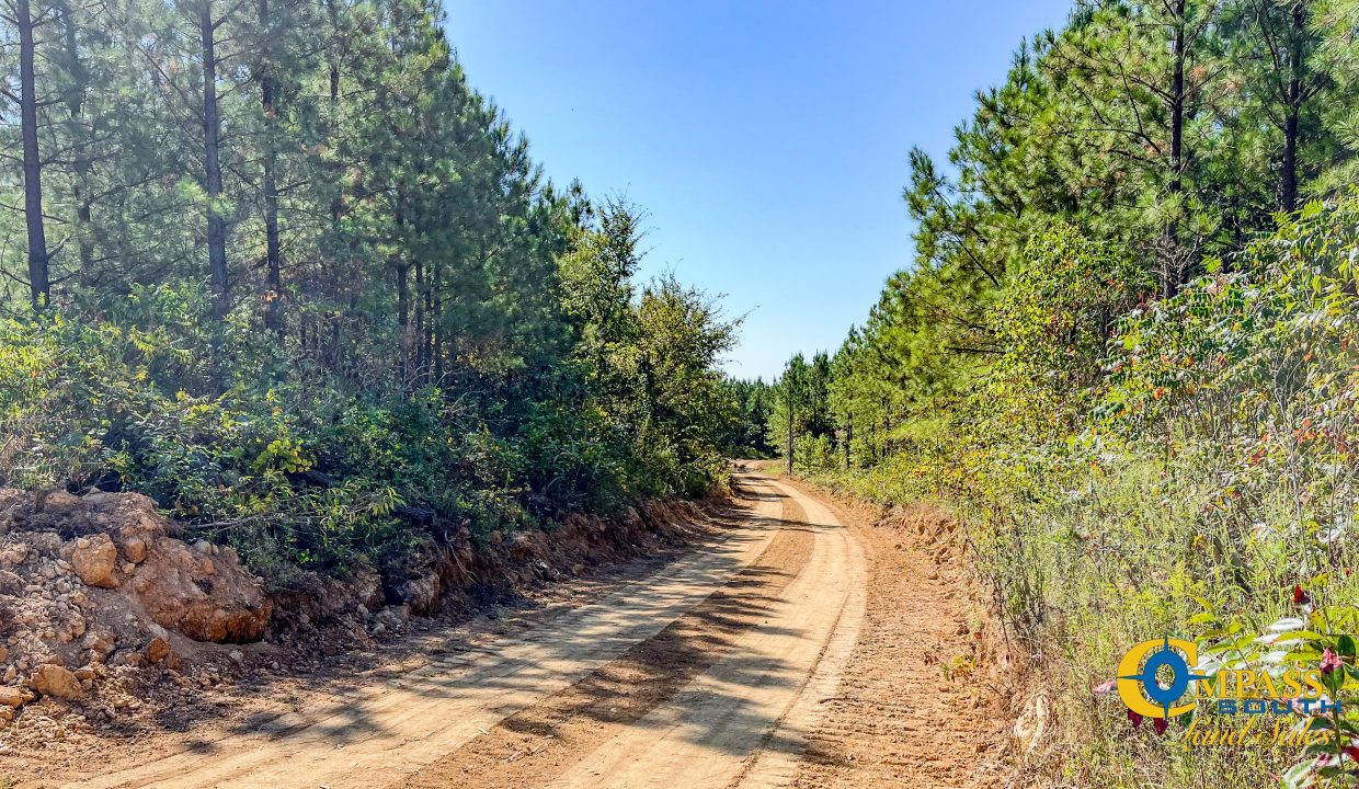 Hurricane Southeast Tract 3 Tennessee-06