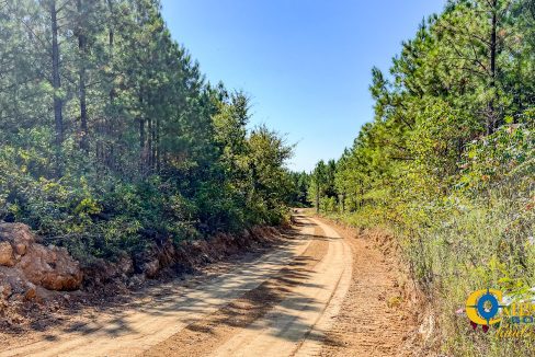 Hurricane Southeast Tract 3 Tennessee-06