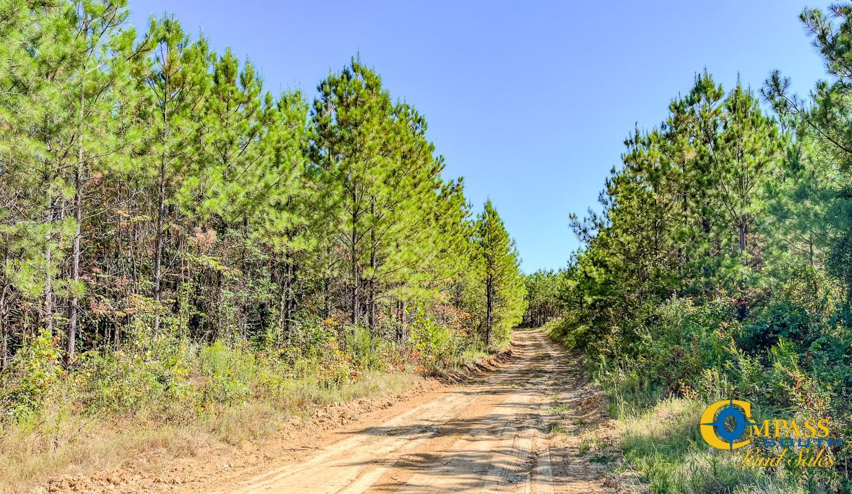 Hurricane Southeast Tract 3 Tennessee-07