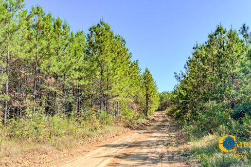 Hurricane Southeast Tract 3 Tennessee-07