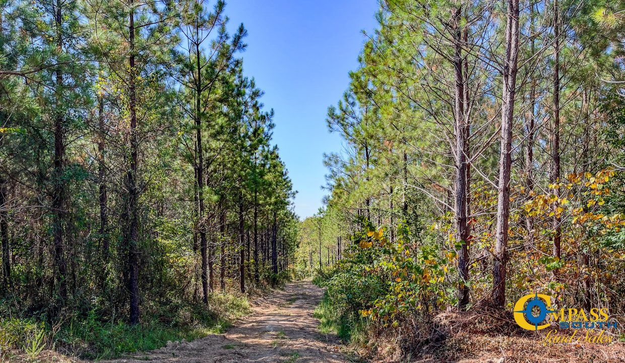 Hurricane Southeast Tract 3 Tennessee-09