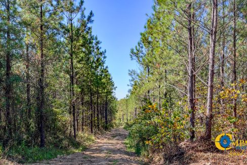 Hurricane Southeast Tract 3 Tennessee-09