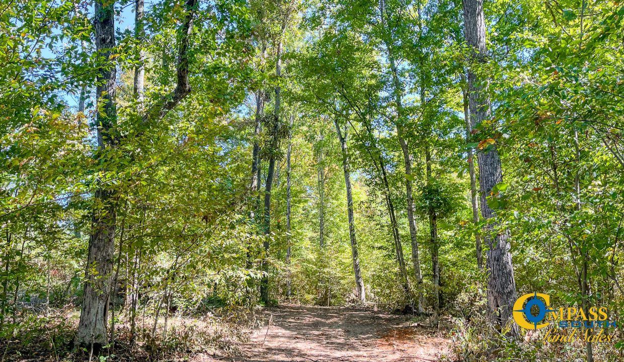 Hurricane Southeast Tract 3 Tennessee-11