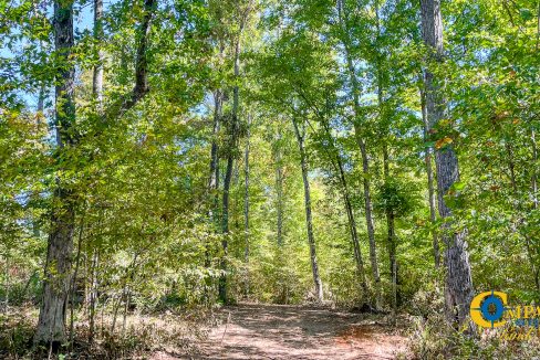 Hurricane Southeast Tract 3 Tennessee-11