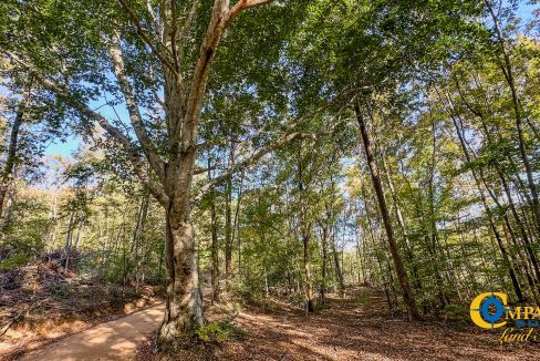 Middle Fork Central Tennessee Land for Sale-38