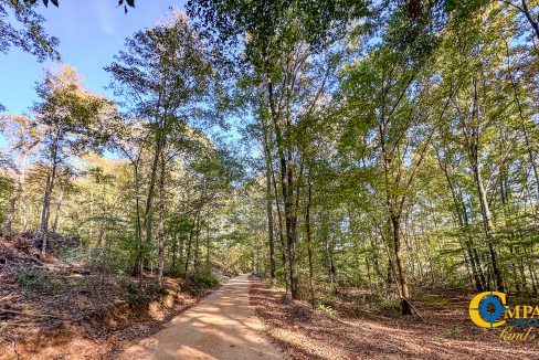 Middle Fork Central Tennessee Land for Sale-39