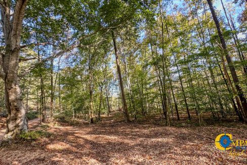 Middle Fork Central Tennessee Land for Sale-40