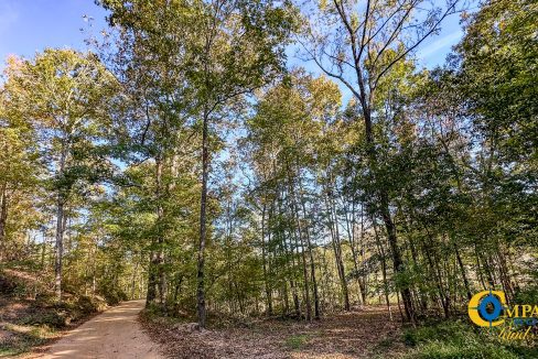 Middle Fork Central Tennessee Land for Sale-41