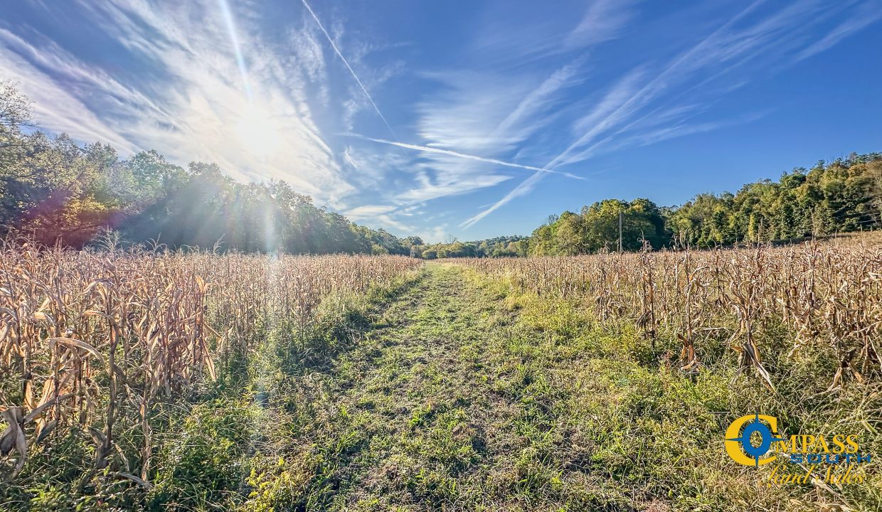 Middle Fork Central Tennessee Land for Sale-43