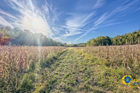 Middle Fork Central Tennessee Land for Sale-43