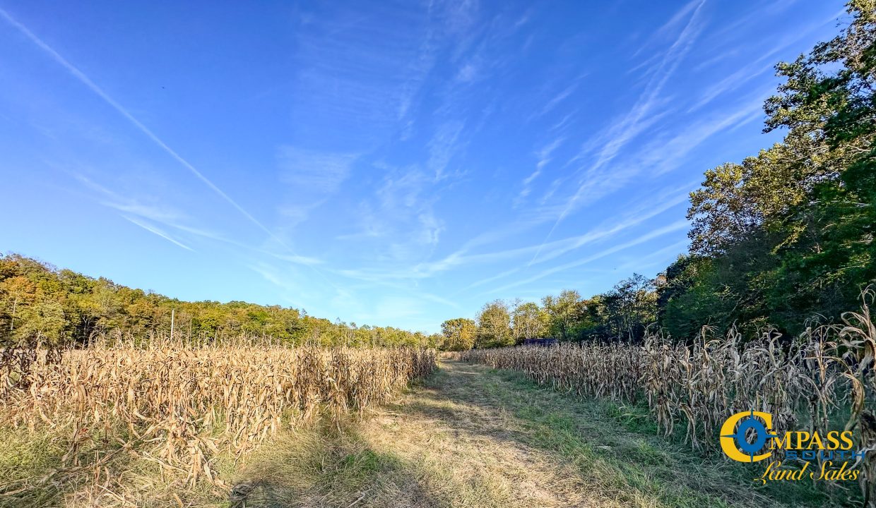 Middle Fork Central Tennessee Land for Sale-44