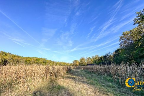 Middle Fork Central Tennessee Land for Sale-44