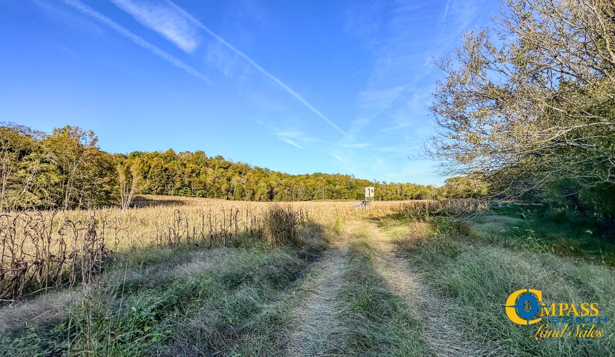 Middle Fork Central Tennessee Land for Sale-46