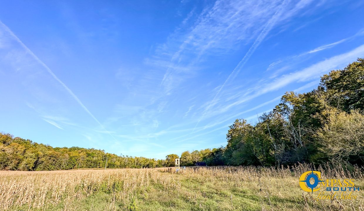 Middle Fork Central Tennessee Land for Sale-48