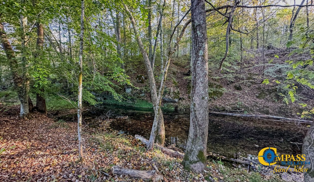 Middle Fork Central Tennessee Land for Sale-49