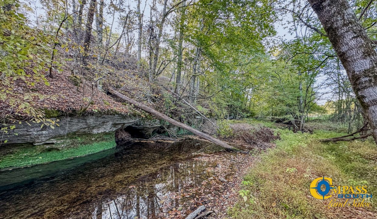 Middle Fork Central Tennessee Land for Sale-53