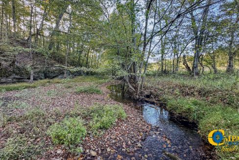 Middle Fork Central Tennessee Land for Sale-54