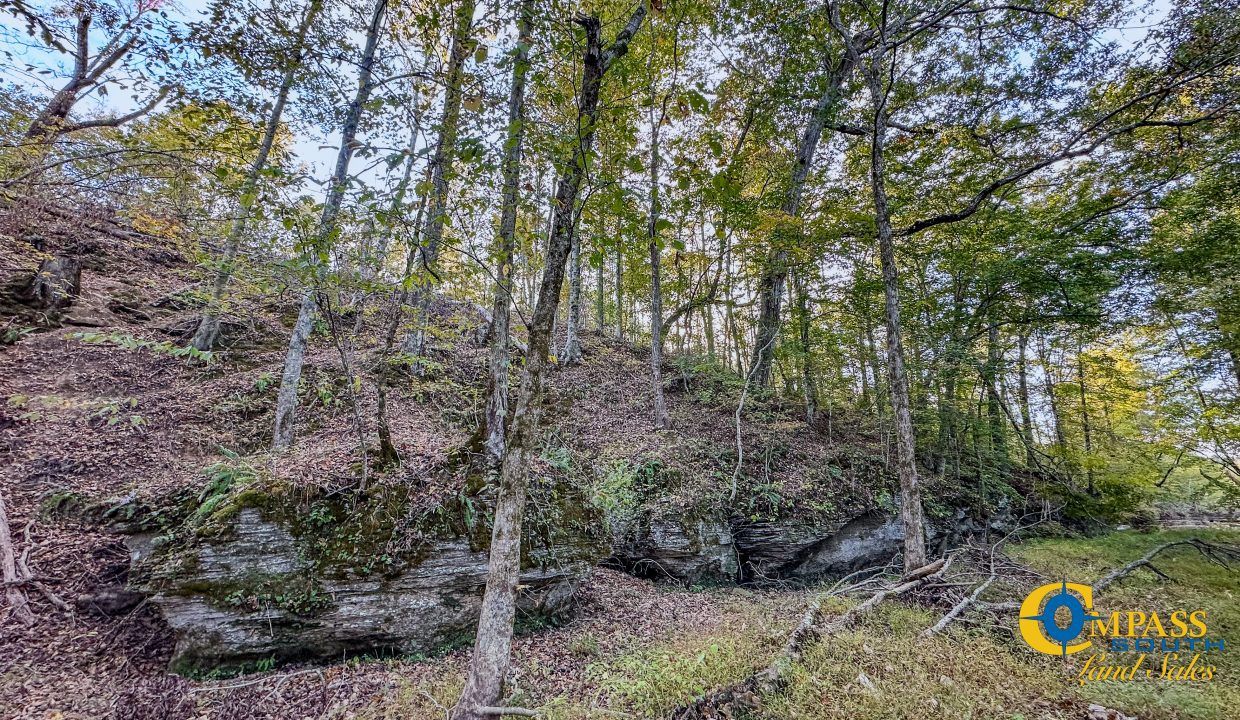 Middle Fork Central Tennessee Land for Sale-55