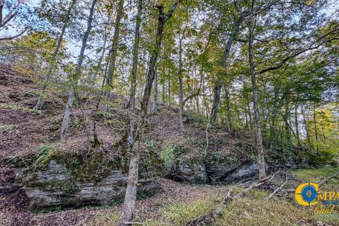 Middle Fork Central Tennessee Land for Sale-55