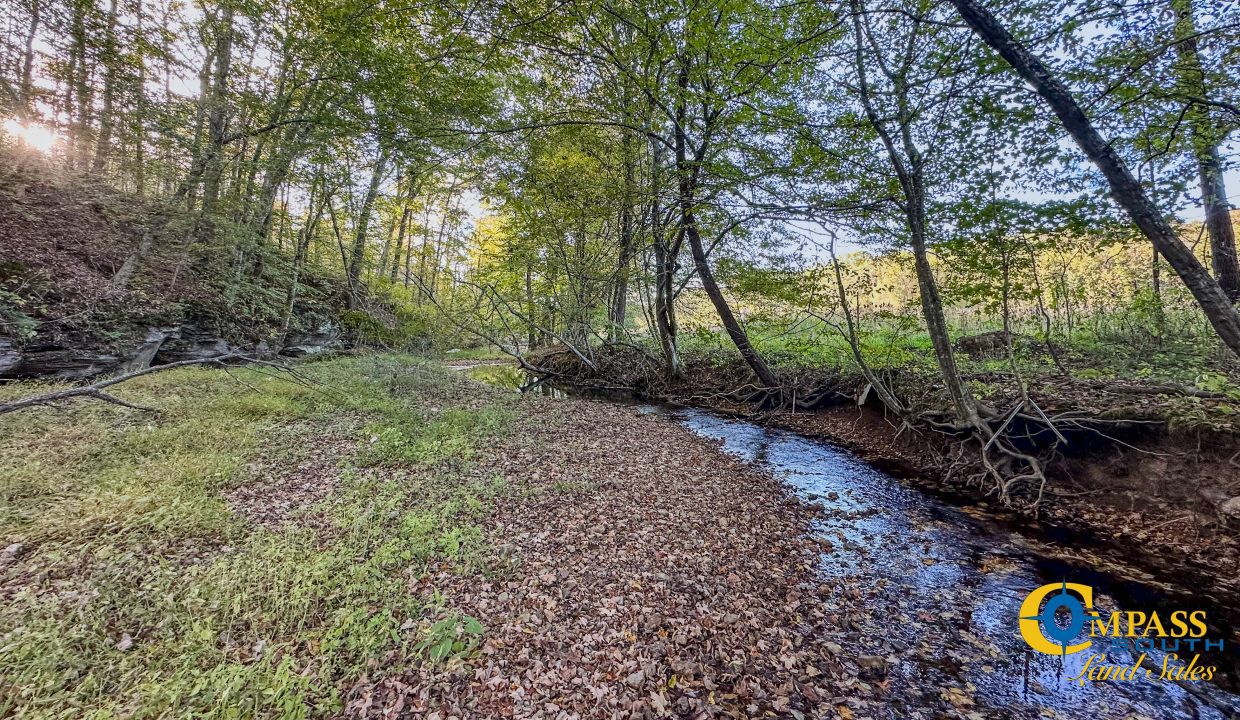 Middle Fork Central Tennessee Land for Sale-56