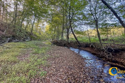 Middle Fork Central Tennessee Land for Sale-56