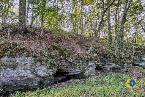 Middle Fork Central Tennessee Land for Sale-57