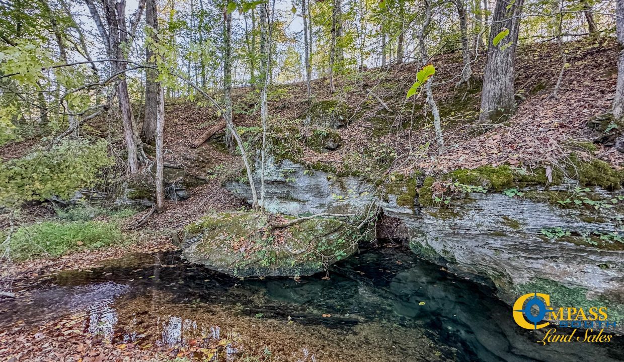 Middle Fork Central Tennessee Land for Sale-58